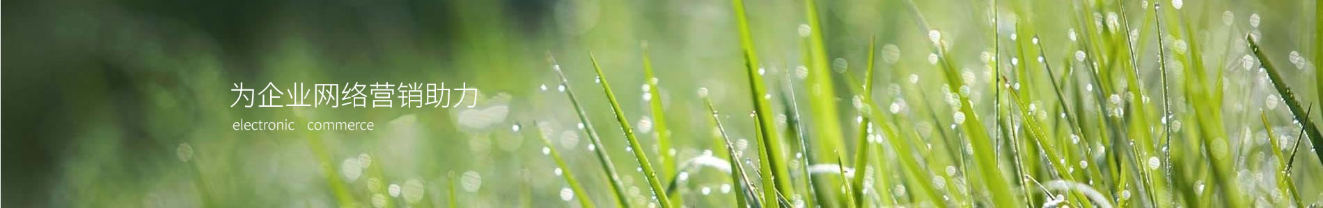 ؽ޹˾